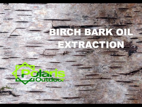Birch Oil Extraction - Bushcraft, Survival Skills, Woodsman