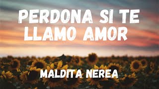 Perdona si te llamo amor - Maldita Nerea (Letra)