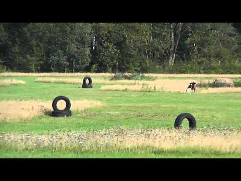 Coursing Hoope '11 Latisha (r) vs. Shahriwar (w)