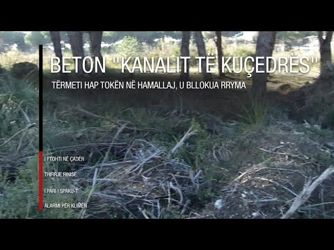 LIVE/ Edicioni informativ i orës 20:00 - 8 dhjetor 2019