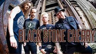 Black Stone Cherry-Evil
