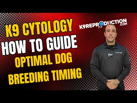 Canine Vaginal Cytology: Step-by-Step Guide for Optimal Dog Breeding Timing | Hoak Labs Kit Overview