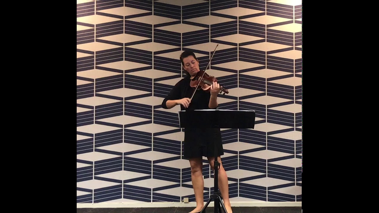 Promotional video thumbnail 10 for Brooksley Bishop Violinist