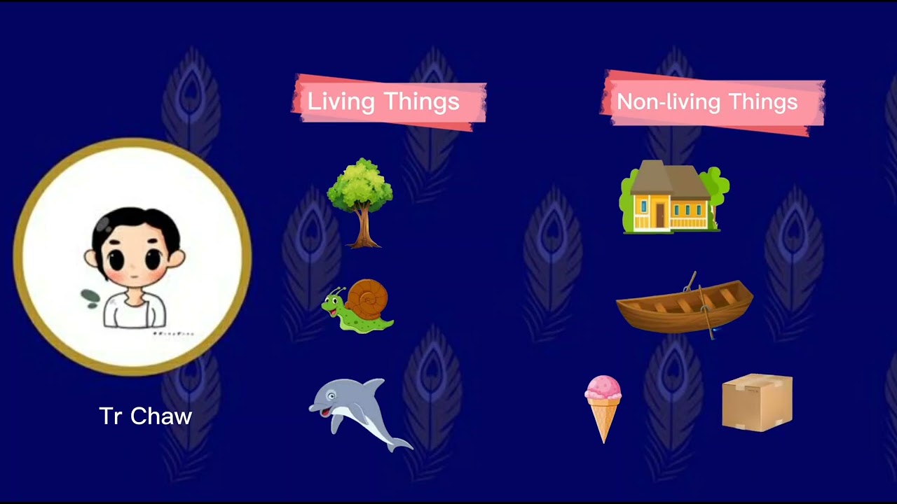 Lesson 3 - Living things and non living things