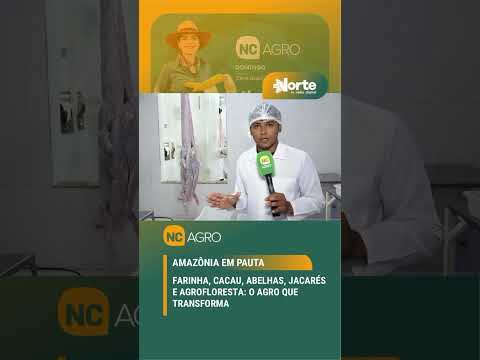 Farinha que alimenta, cacau que vira sorvete e abelhas que transformam vidas, o agro da Amazônia