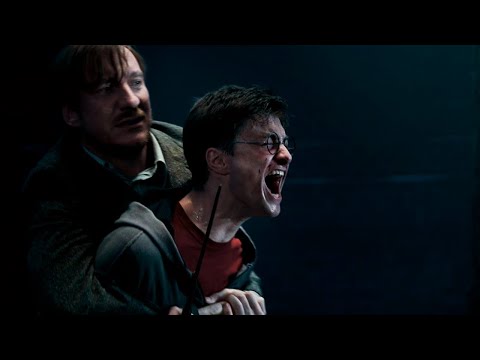 Harry Potter's UNMUTED Scream (HEARTBREAKING)