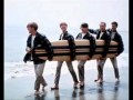 Lana - The Beach Boys