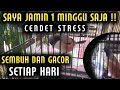 CARA MUDAH MENYEMBUHKAN DAN MENGGACORKAN BURUNG CENDET STRESS ( MACET BUNYI )