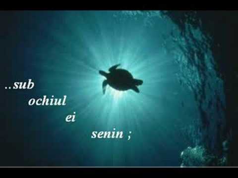 Cafeaua de sub tamarin