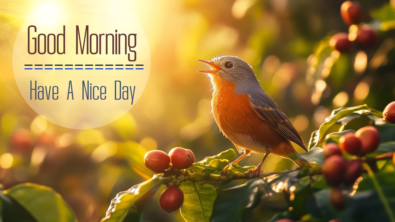 GOOD MORNING MUSIC - Wake Up Happy With Energetic Full Flow - Calm Deep Soft Vibe Music