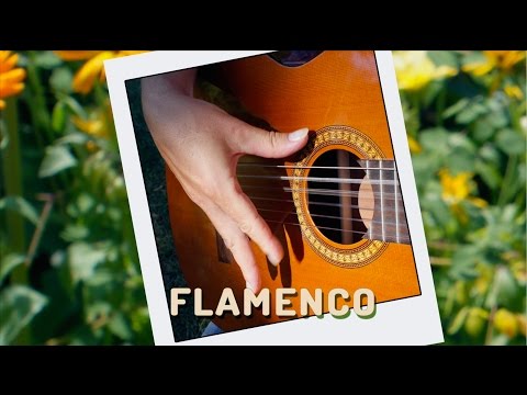 Lær at spille spansk guitar - Flamenco (GuitarDK.com)