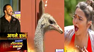 Khataron Ke Khiladi 10, Next Episode, Ostrich, 29 February- Highlights