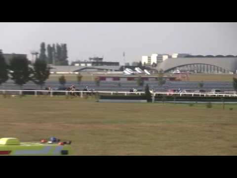 BR, 1. 10. 2016, 7. dostih - Podzimní moravská míle firmy MEWOTECH CZ, s.r.o. - z fondu PODPORA 2016