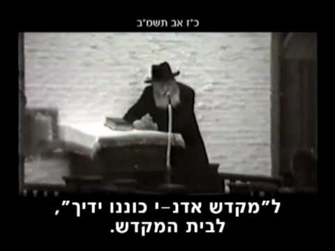 הוידאו היומי יז אב 641