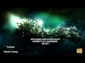 Tuneboy - Mood to Swing (Hardcore / Hardstyle ...