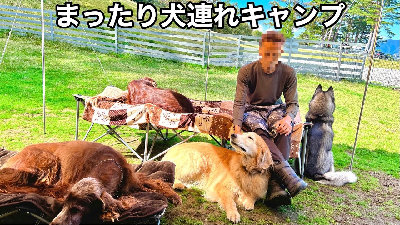 大型犬4頭と行ったドッグランサイトが最高過ぎました…【夫婦キャンプ】