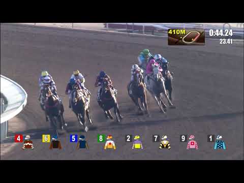 5/12/2021 (230) Sight Success - V Borges