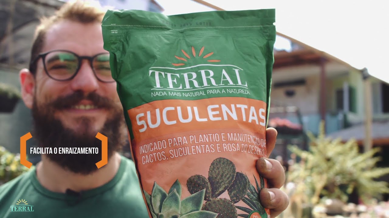 Watch Now Terral Suculentas Convencional Terral Suculentas Convencional
