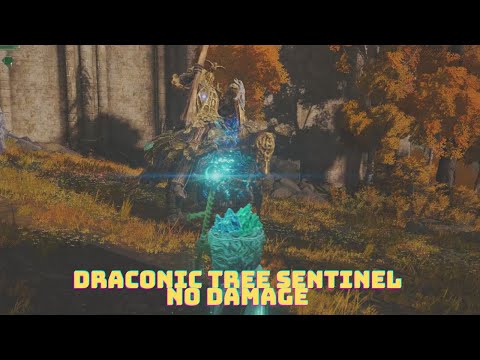 Elden Ring: Draconic Tree Sentinel - No Damage - Mage Build