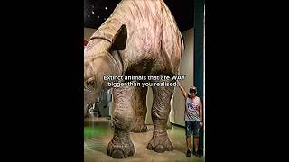 These extinct animals are WAY BIGGER than you realised ! #prehistoric #dinosaur