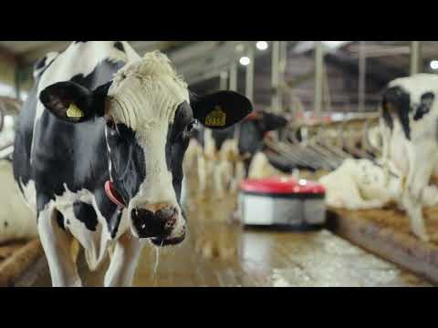 Lely Discovery Collector C2