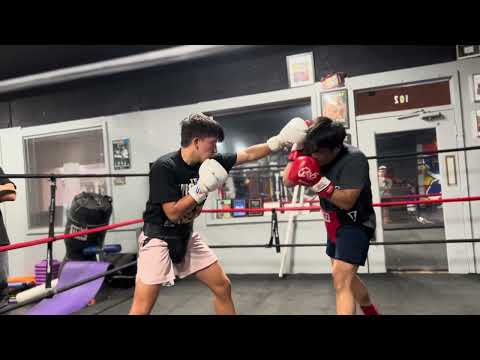 Self taught (No Fights) Vs Pro Boxer (Sparring w/o Headgear)
