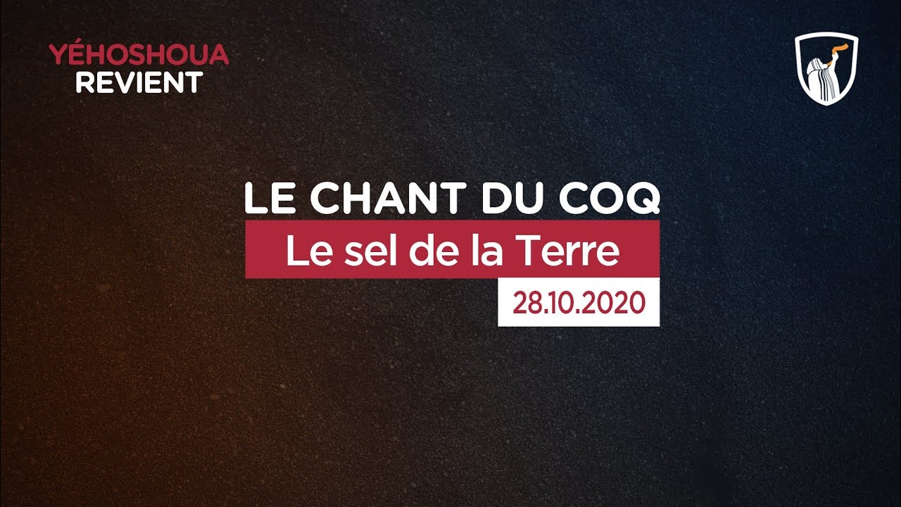 Thumbnail of video: Le sel de la terre