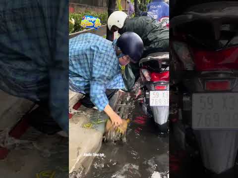 Cô gái dầm mưa móc rác thông cống, người khen 