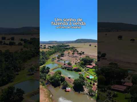 Um sonho de fazenda à venda – 45 km de Goiânia, 36,9 alqueires (178,6 ha) #fazendaavenda #agro
