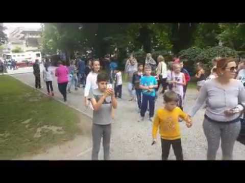 19008308 1618460311520919 689213049801801728 n