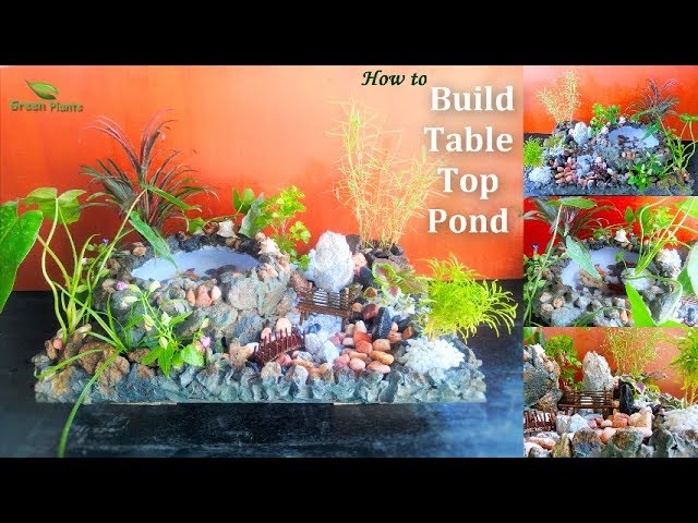 How to Build a Table Top Pond | How to Build a Small Fish Pond // GREN PLANTS