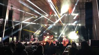 Pigeons Playing Ping Pong “Kiwi” 10/03/2020 Legend Valley - Thornville, OH