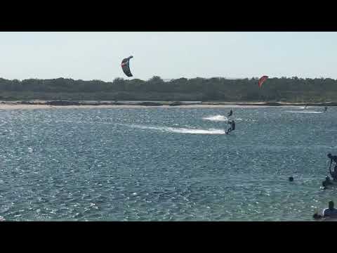 Dog Beach- Noosa Heads, Sunshine Coast, QLD, Australia