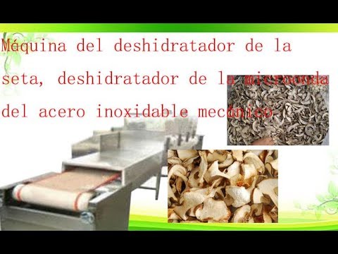 Máquina del deshidratador de la seta, deshidratador de la microonda del acero inoxidable mecánico