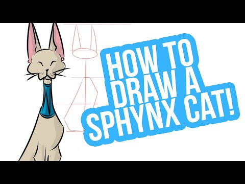 How to Draw a SPHYNX CAT Easily - Sphynx Cat Step by...