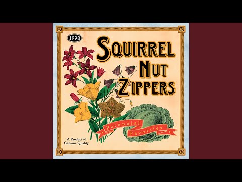 Low Down Man - Squirrel Nut Zippers