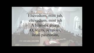 A Jó Pásztor nyájához tartozol már?