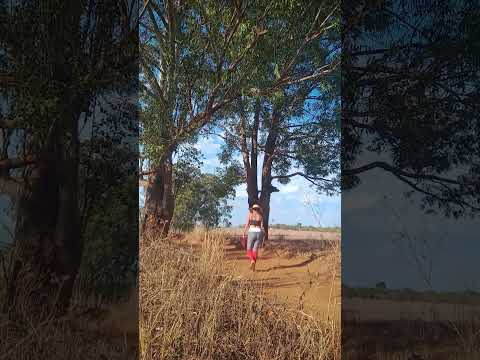 Caminhada sertaneja Comunidade Santa Rita município Vianópolis Goiás Brasil