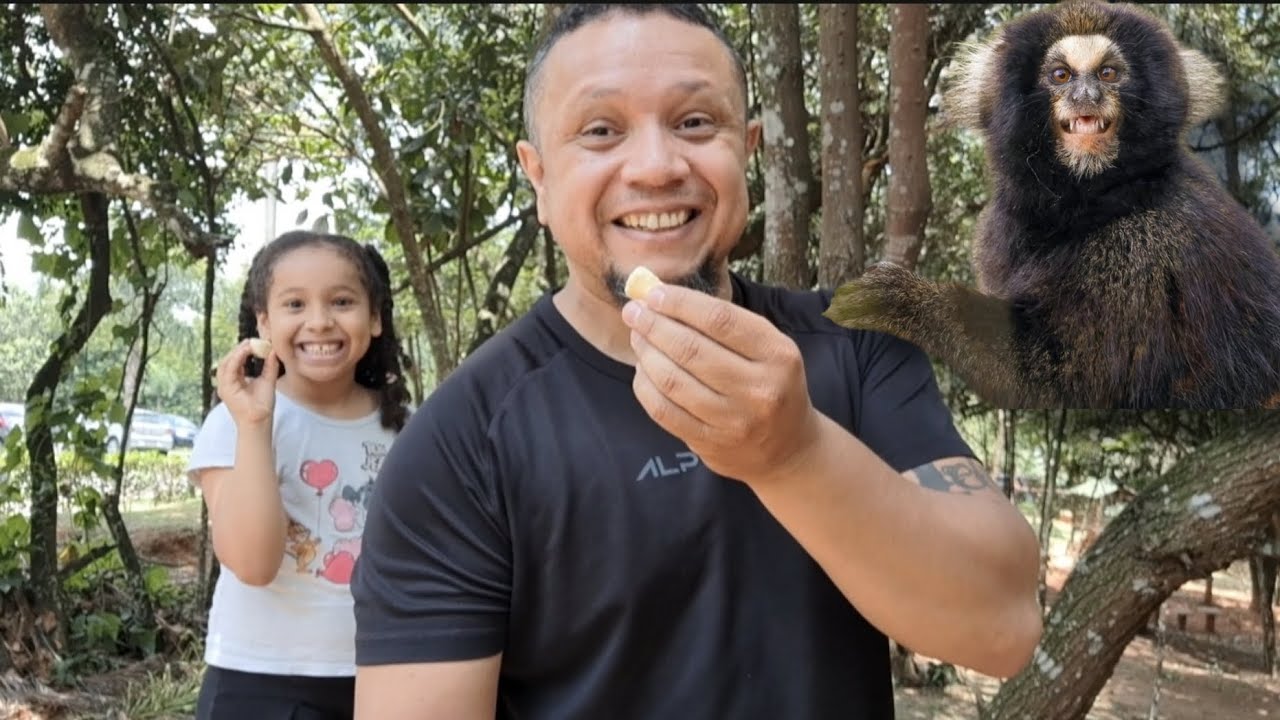 Vlog: Alimentando Sagui no quintal de casa