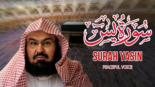 Download lagu Surah Yasin - (Full Arabic Recitation) by Al sheikh Abdul Rahman al-sudais | Daily Quran Recitation mp3