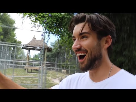 Jeff Wittek Best Moments in David's Vlog [Part 3]
