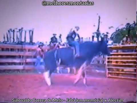 SINOVALDO CORREA DE MELO - JABÁ (EM MEMÓRIA) X ALECRIM DE NOSSA PROPRIEDADE NO ANO DE 2004