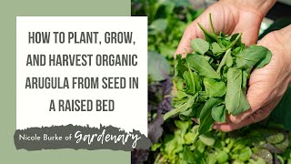 How to Plant, Grow, and Harvest Organic Arugula from Seed in a Raised Bed
