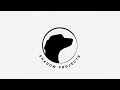 Shadow Projects Logo Comparison