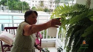 Teleassistência em Santos garante atendimento rápido após idosa sofrer queda em casa