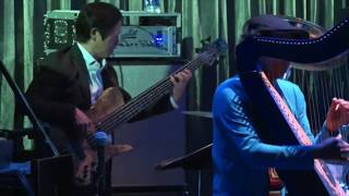 Edmar Castaneda with the BLUE NOTE TOKYO ALL-STAR JAZZ ORCHESTRA directed by Eric Miyashiro