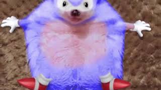 Download lagu Real life Sonic the Hedgehog mp3