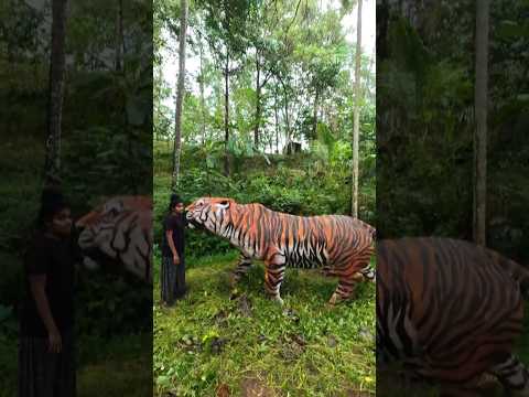 In front of the most dangerous Tiger😳😳😇😇😇🐅🐅🐅🐅🐅