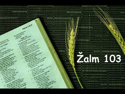 Žalm 103