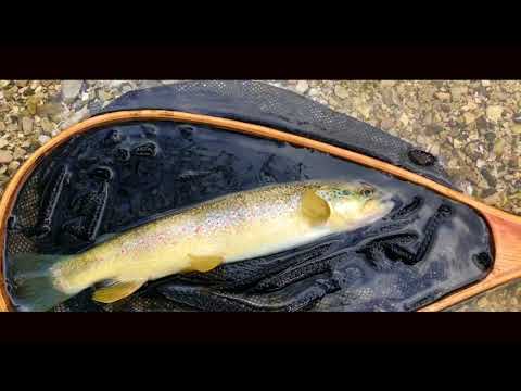 Balkanstail - A flyfishing tale from Slovenia 2018